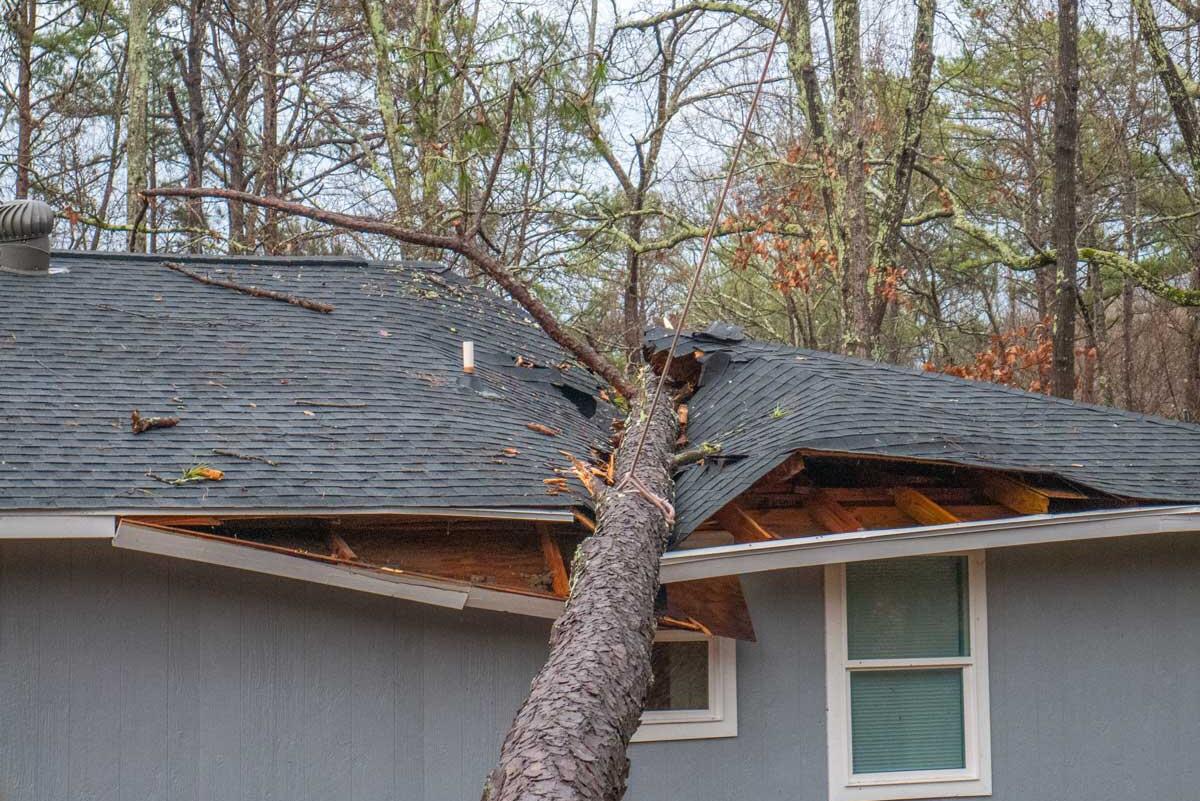 a tree fallen on a grey house roof with damage